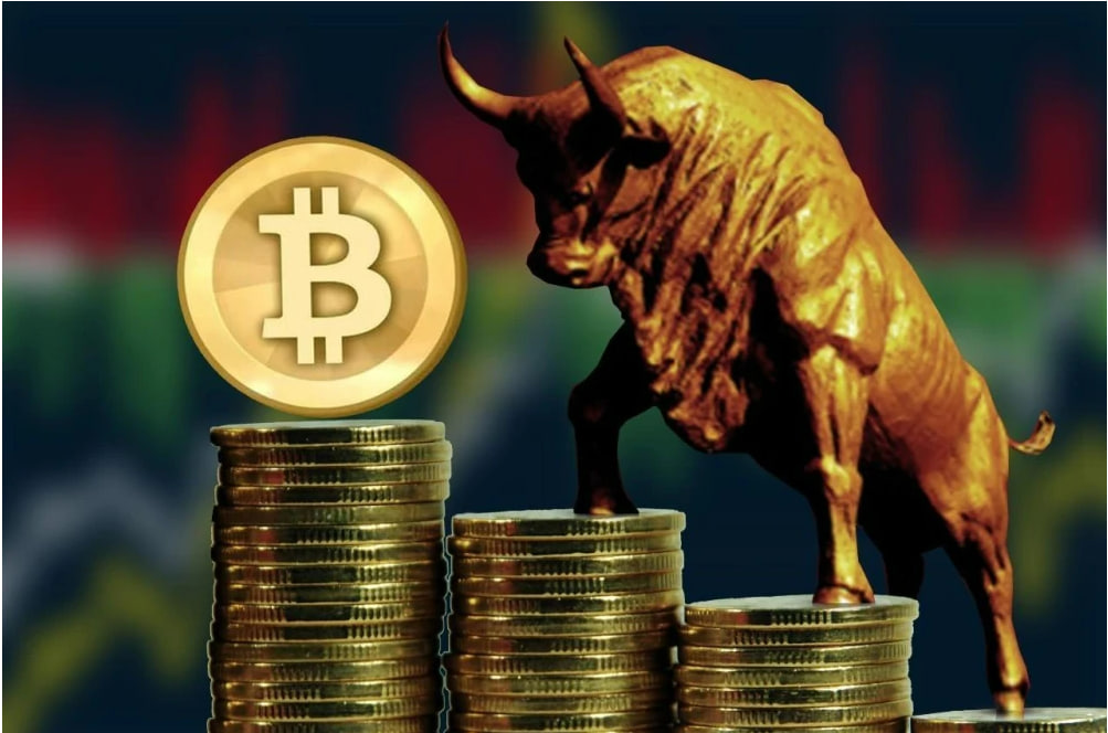 配资服务平台 2024年全国主要批发市场条形辣椒干（长线椒）价格行情